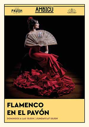 Flamenco en el Pavón